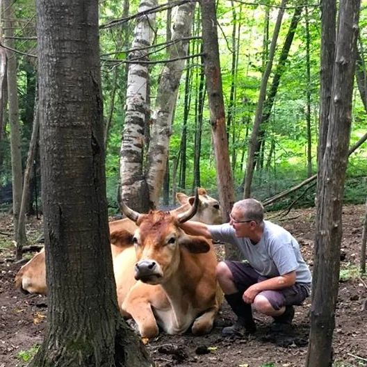 Pattrice with Maddox and Moxie. “The cow with the horns is Maddox, and the cow behind him is his mother Moxie. He was taken from her when one day old by a dairy who then discarded him. We were able to reunite them three years later, when the dairy also discarded her.” wrote Pattrice