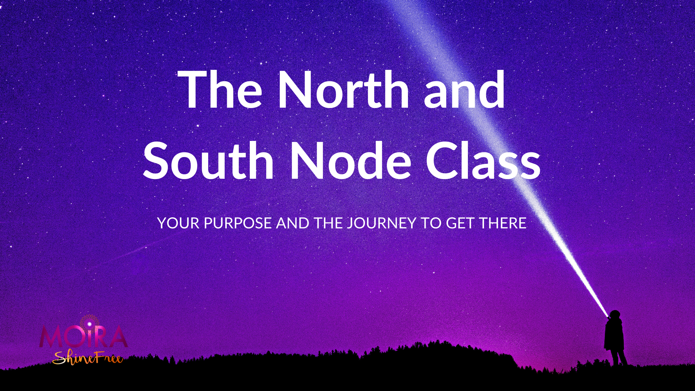 nn banner.png