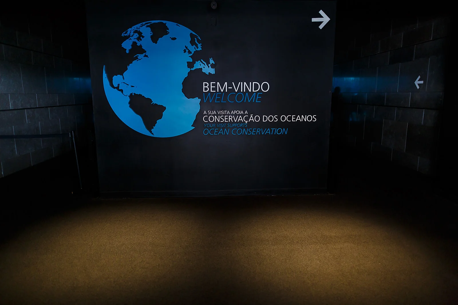 Oceanário de Lisboa, actividades do serviço educativo