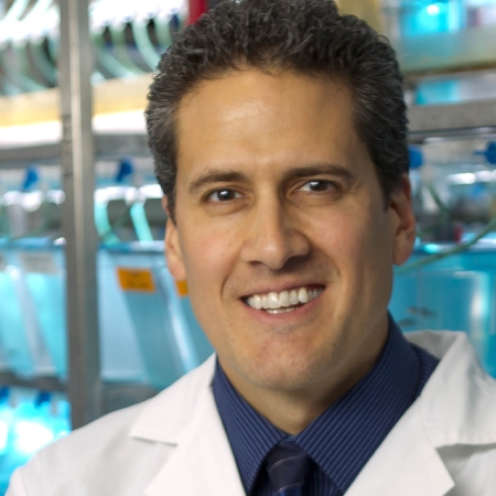 David Largaespada, PhD University of Minnesota