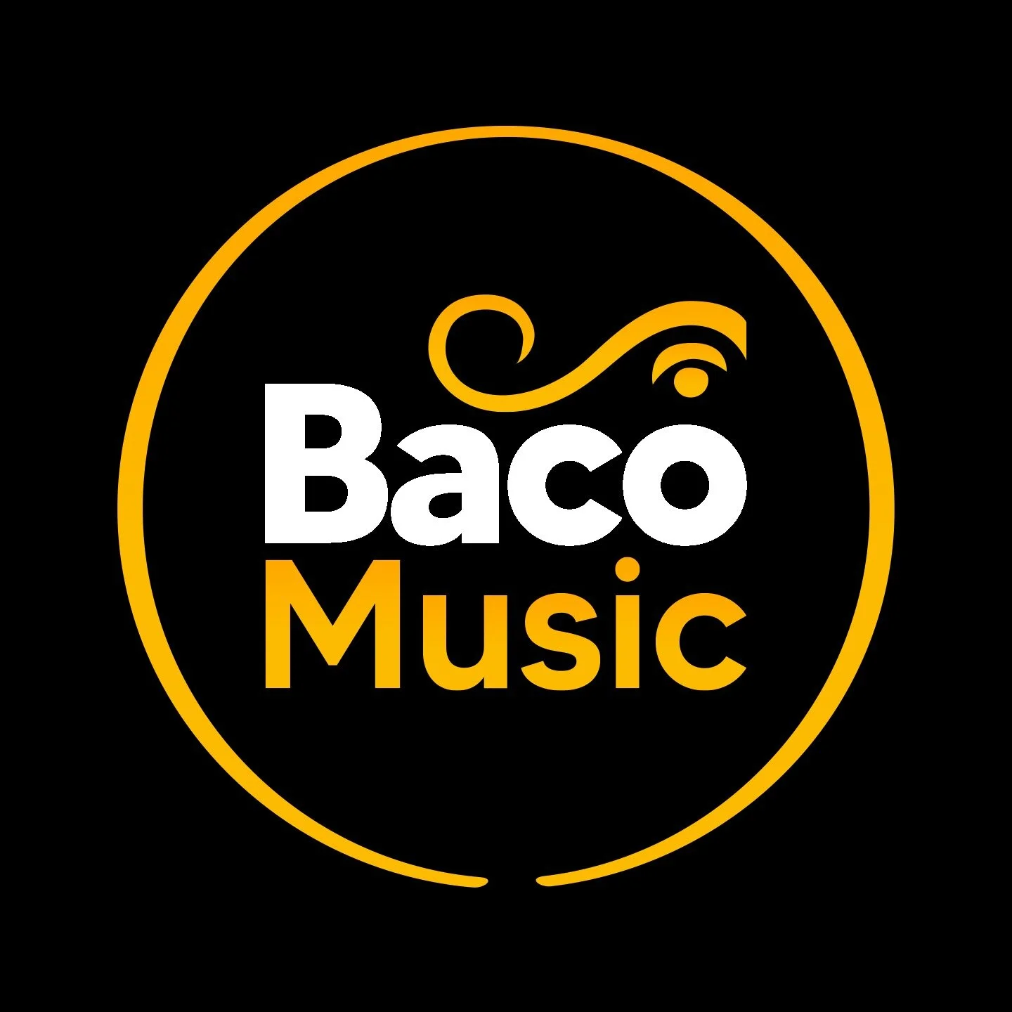 Mathieu&nbsp;Dassieu, CEO - Baco Records 