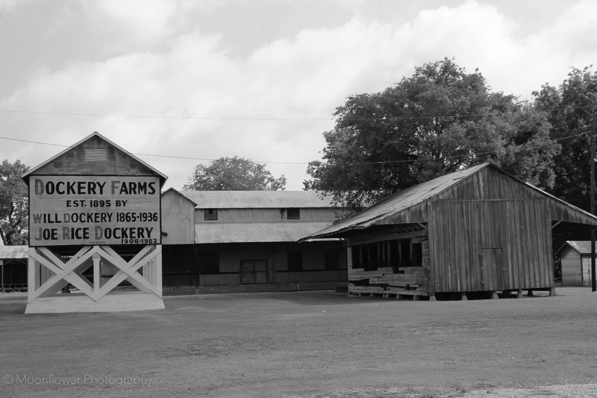 "Birth Place of the Blues"