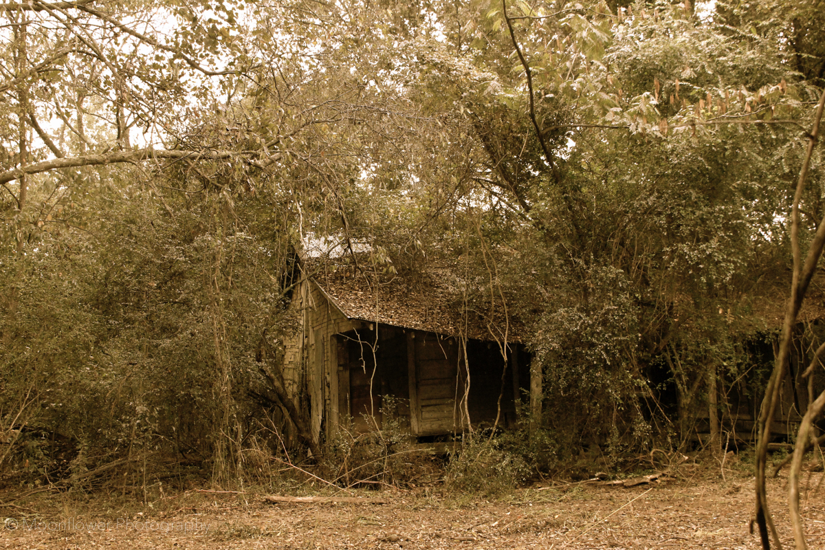 "The Shack"