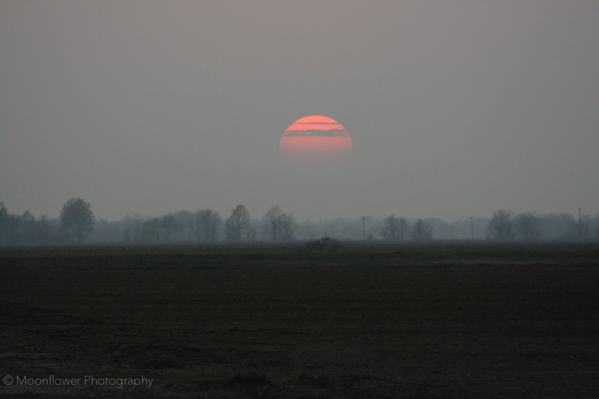 "Spring Sunset"