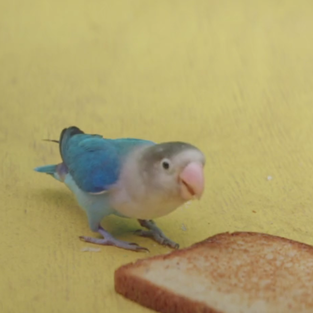 Capture d’écran 2017-03-15 à 18.36.26 copie.png