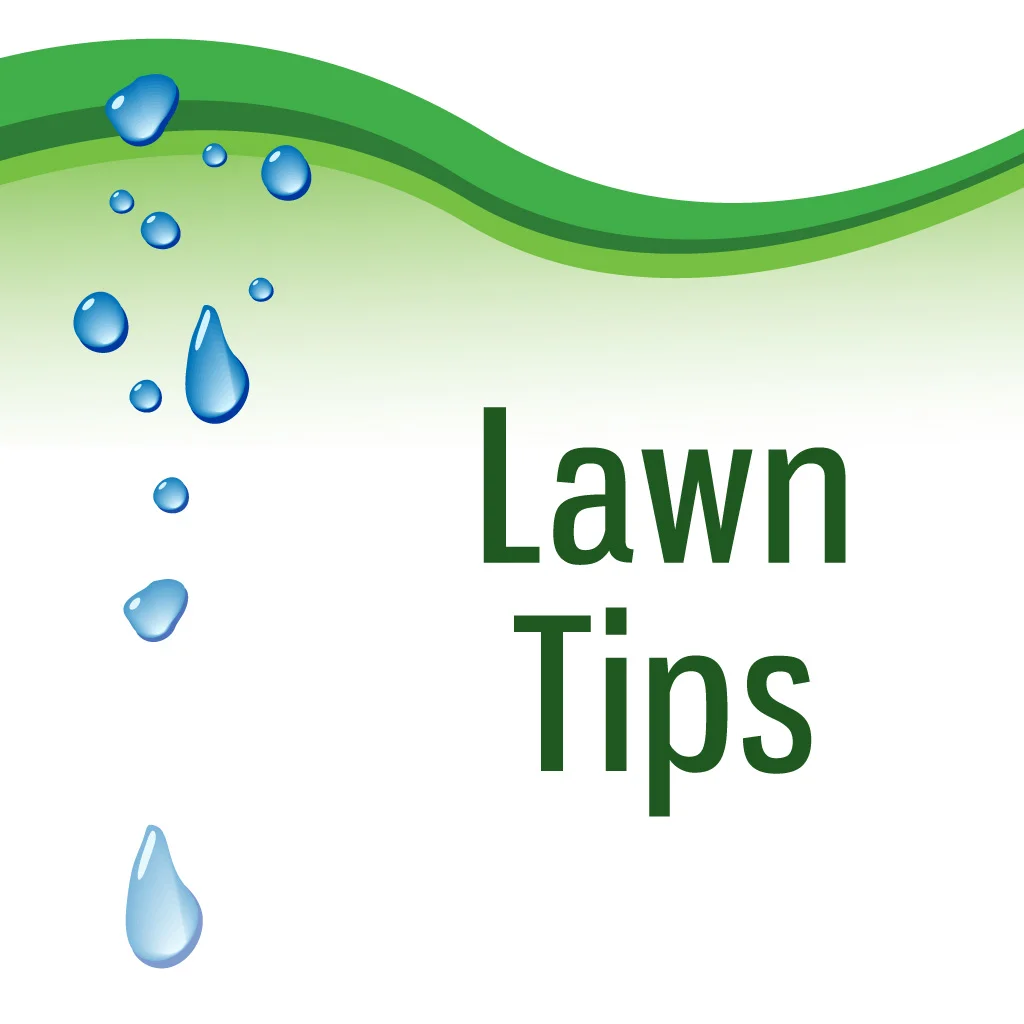 4-simple-practices-sierras-lawn-aeration