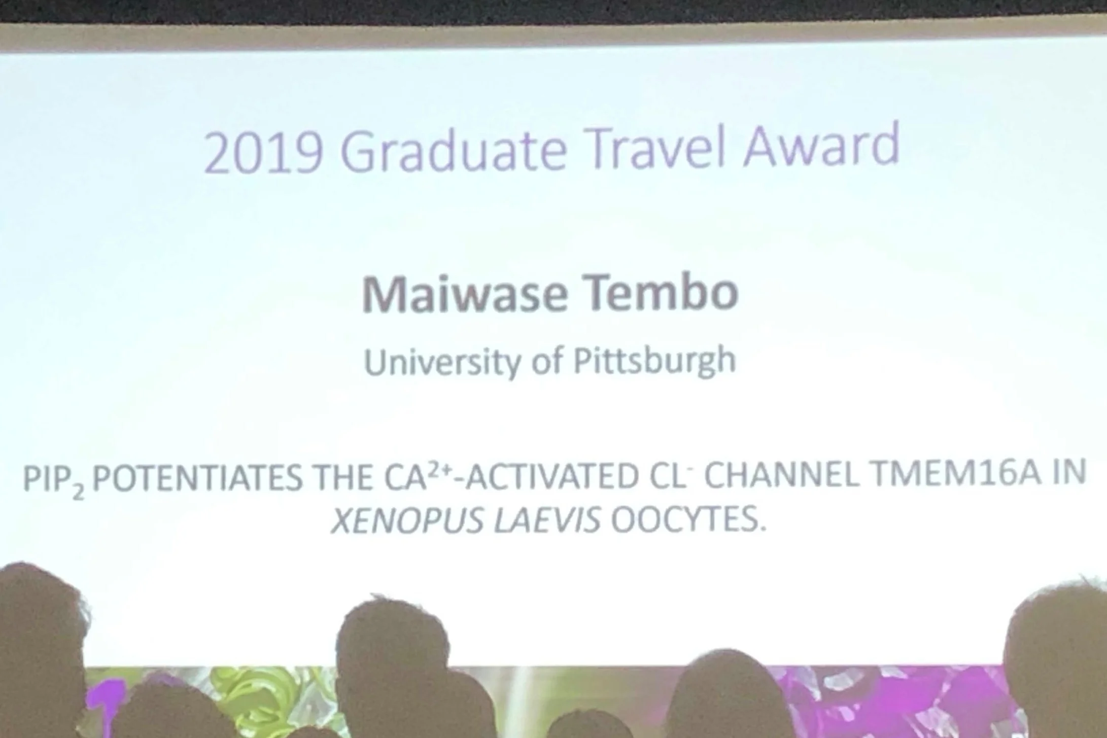 Tembo_TravelAward.jpg