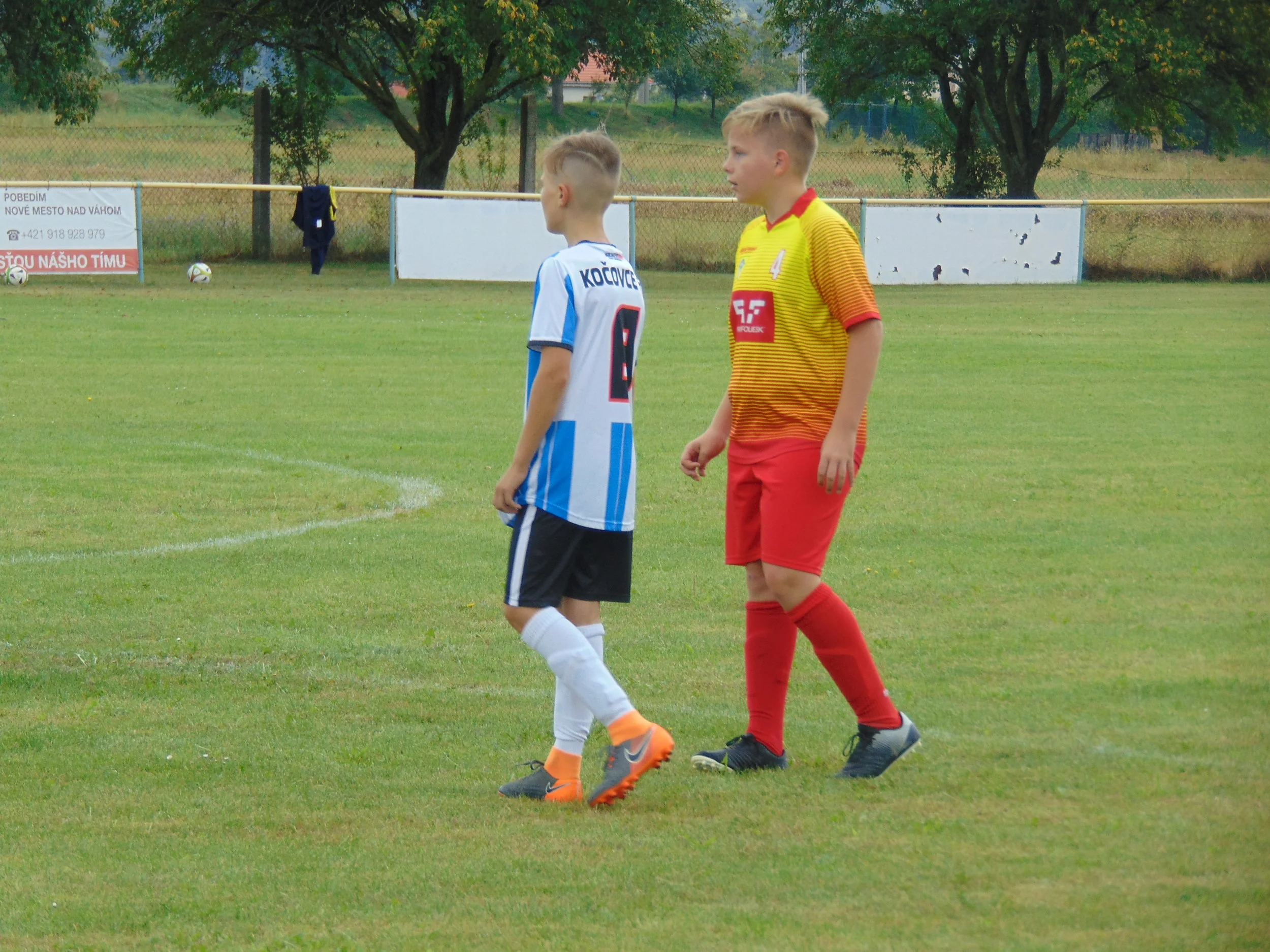  tek Z V zenia Standard Zv i Ko ovce Futbal Modr Ve ryba Dub Staroveku