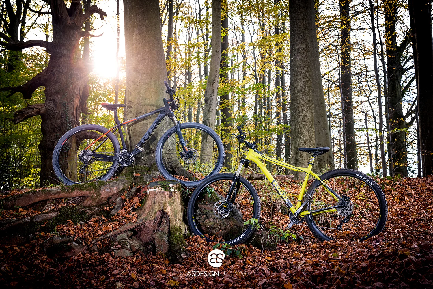 © ASDesign Andy Saunders_220 Triathlon Plus magazine MTB Voodoo Cube.jpg