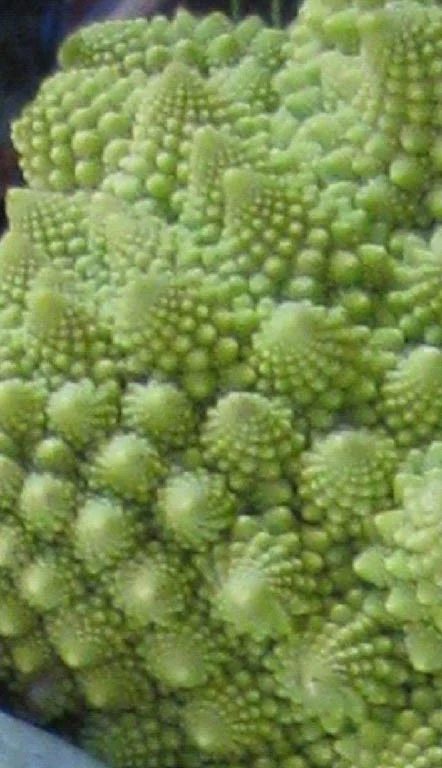 green.jpg