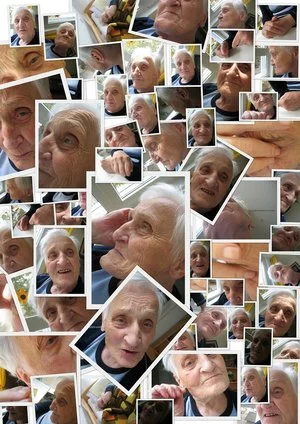 collage.jpg