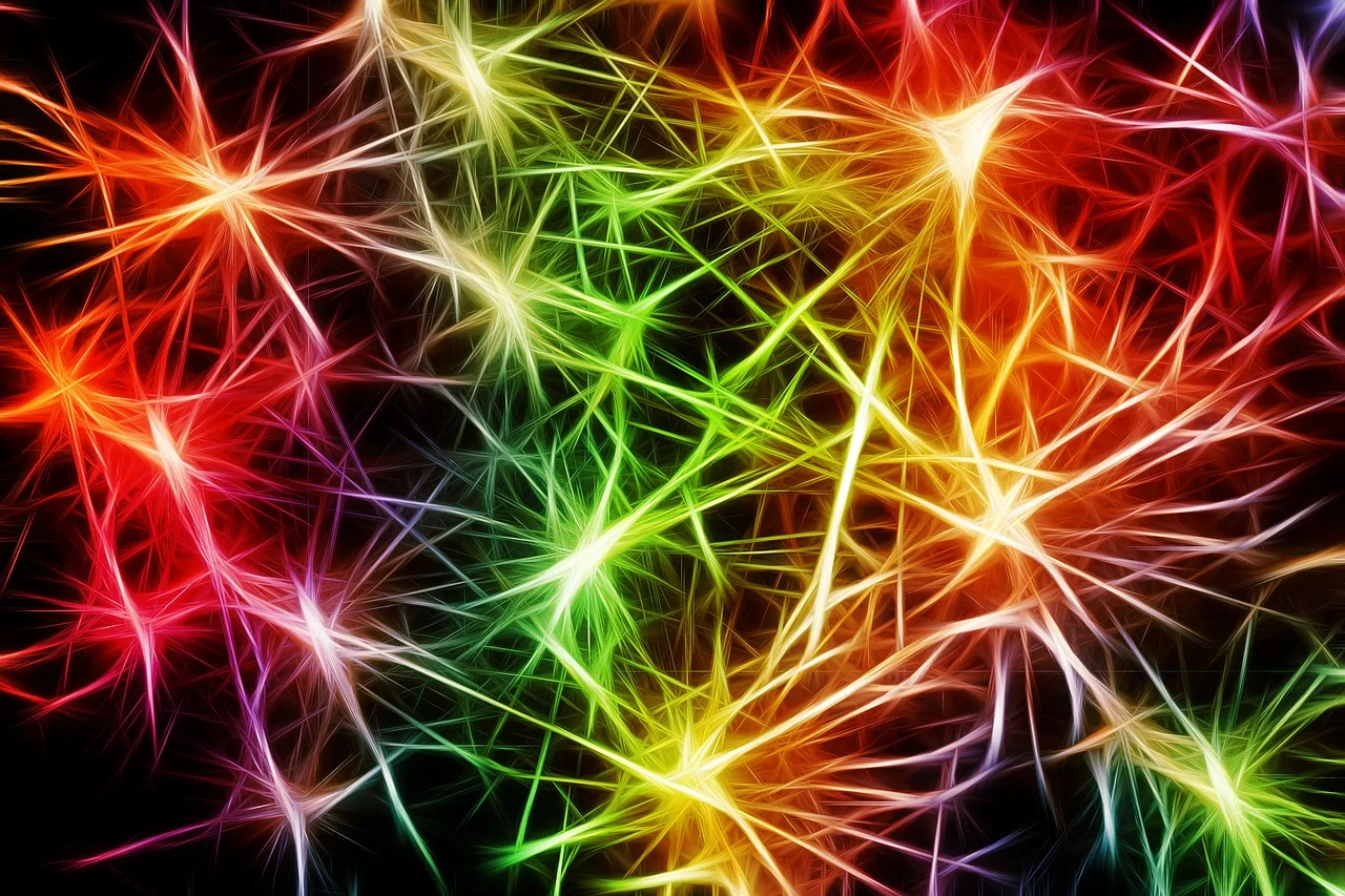 nerves-2926087_1280.jpg