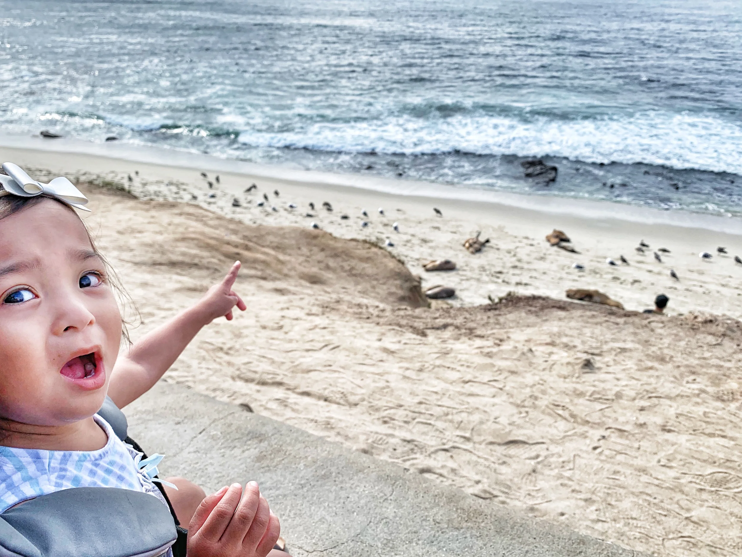 09.01.19 | LA JOLLA COVES