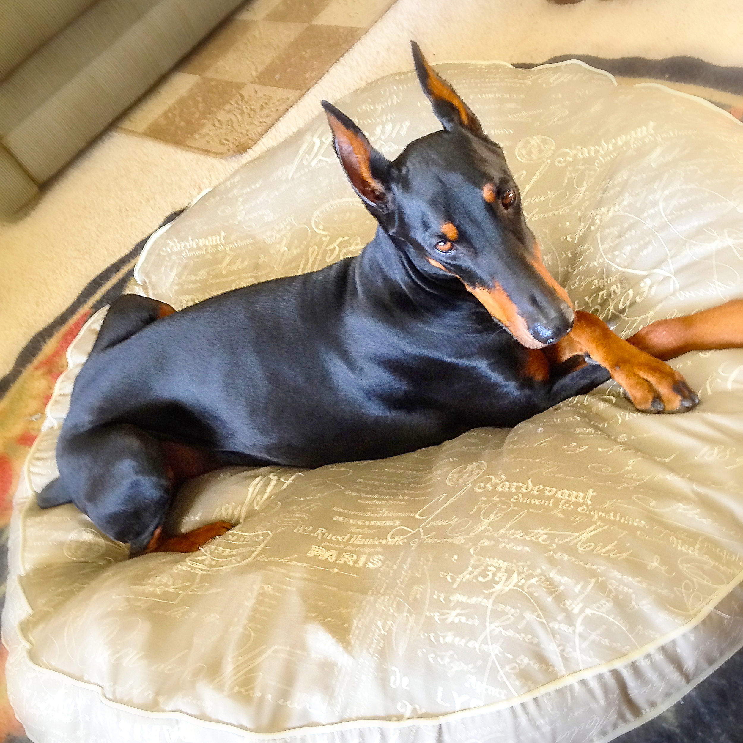 JoZ on french bed.JPG