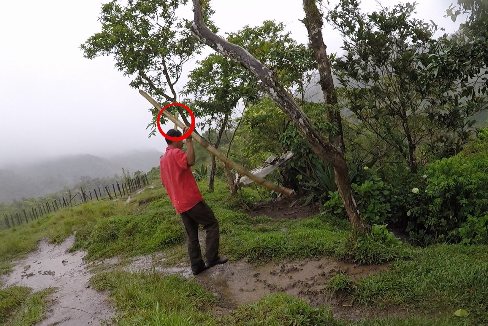 Luis removing the mama tata crosses.