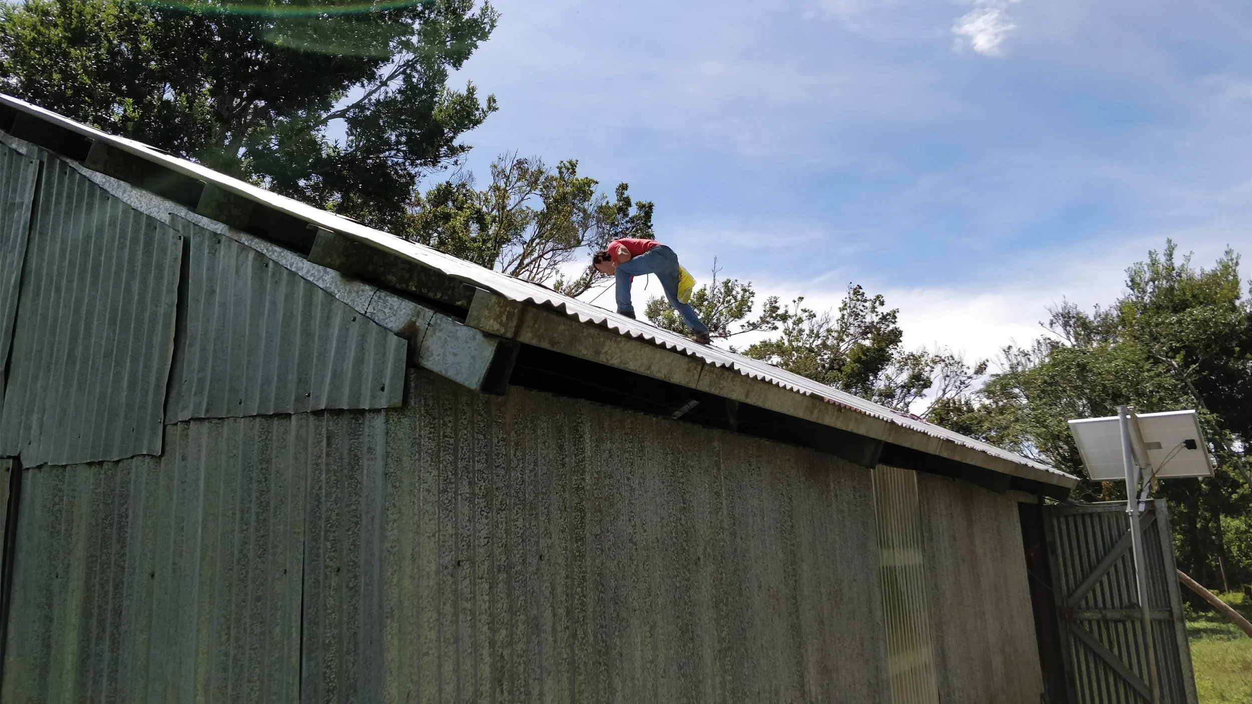 Repairs to the roof and other parts of the building of more than 10 yrs old.
