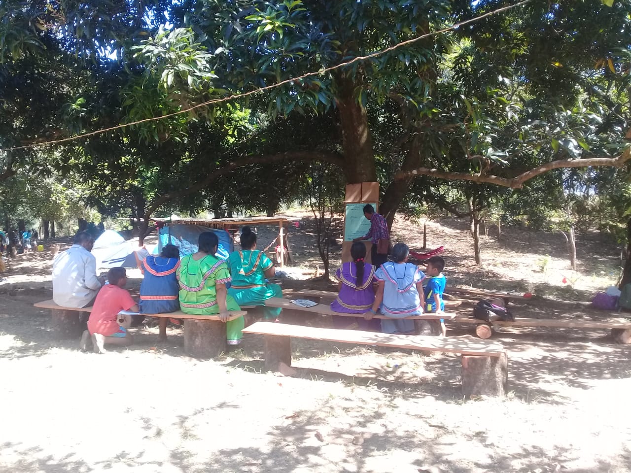Training under a tree