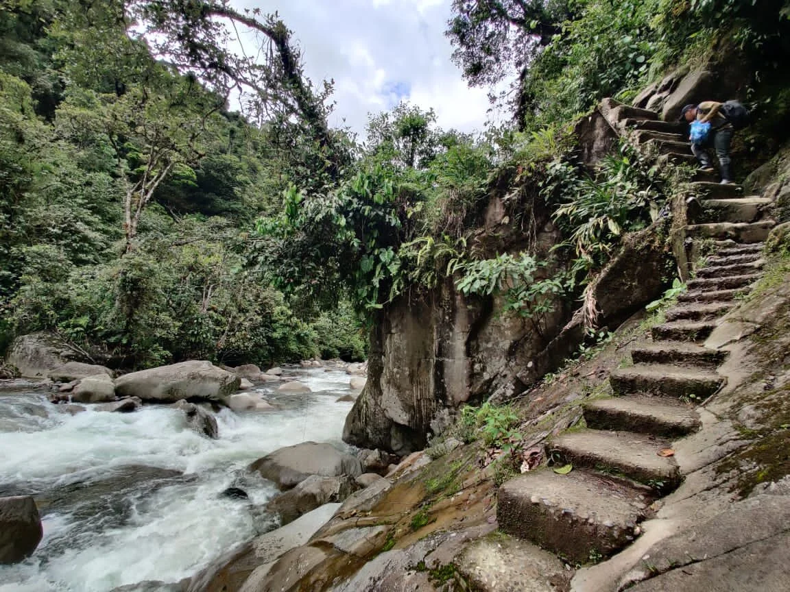 May Newsletter - 2021