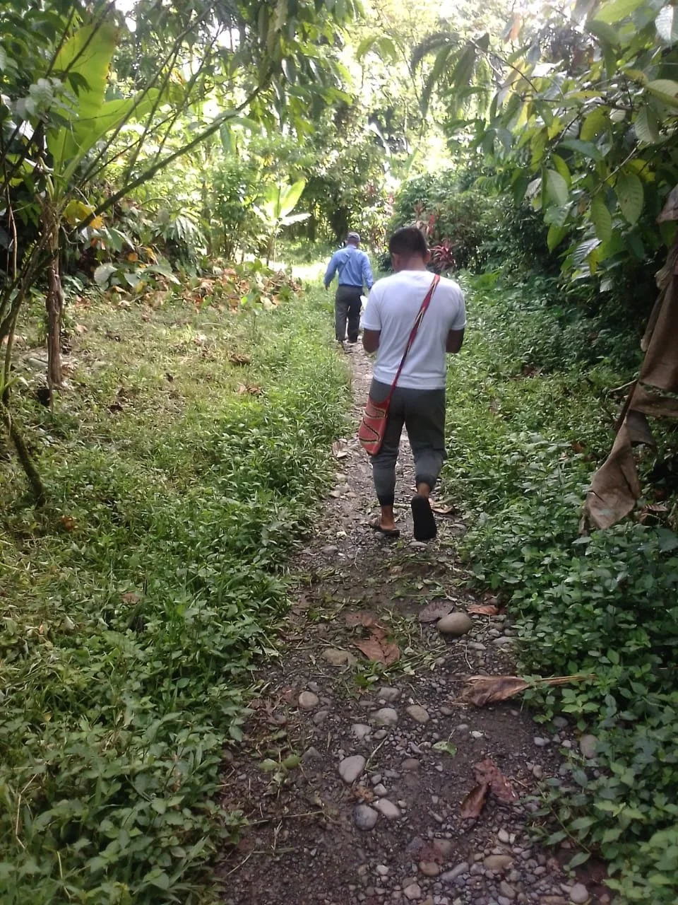 DAYRA 2, TULA AND GUABAL - BOCAS DEL TORO UPDATE