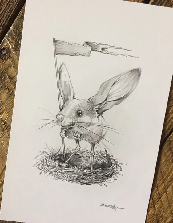 Drawing done for painting mock-up design