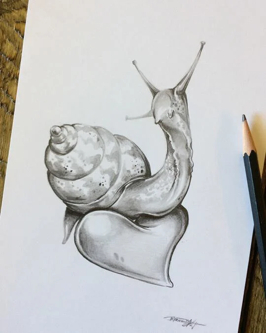 snails.jpg