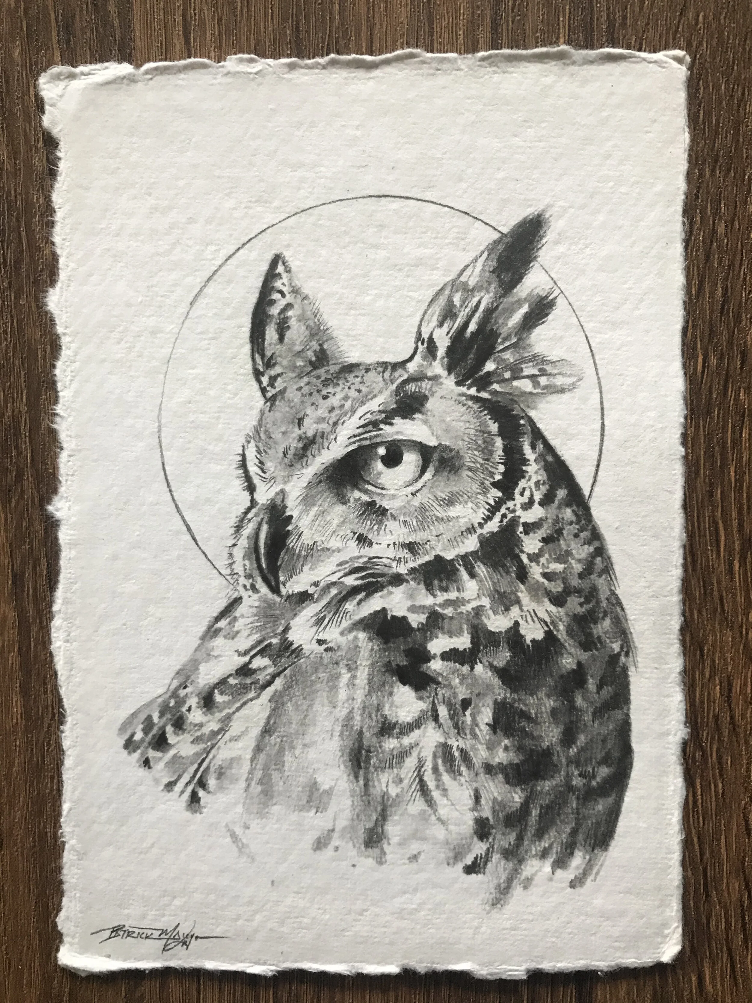 BIRD5.jpg