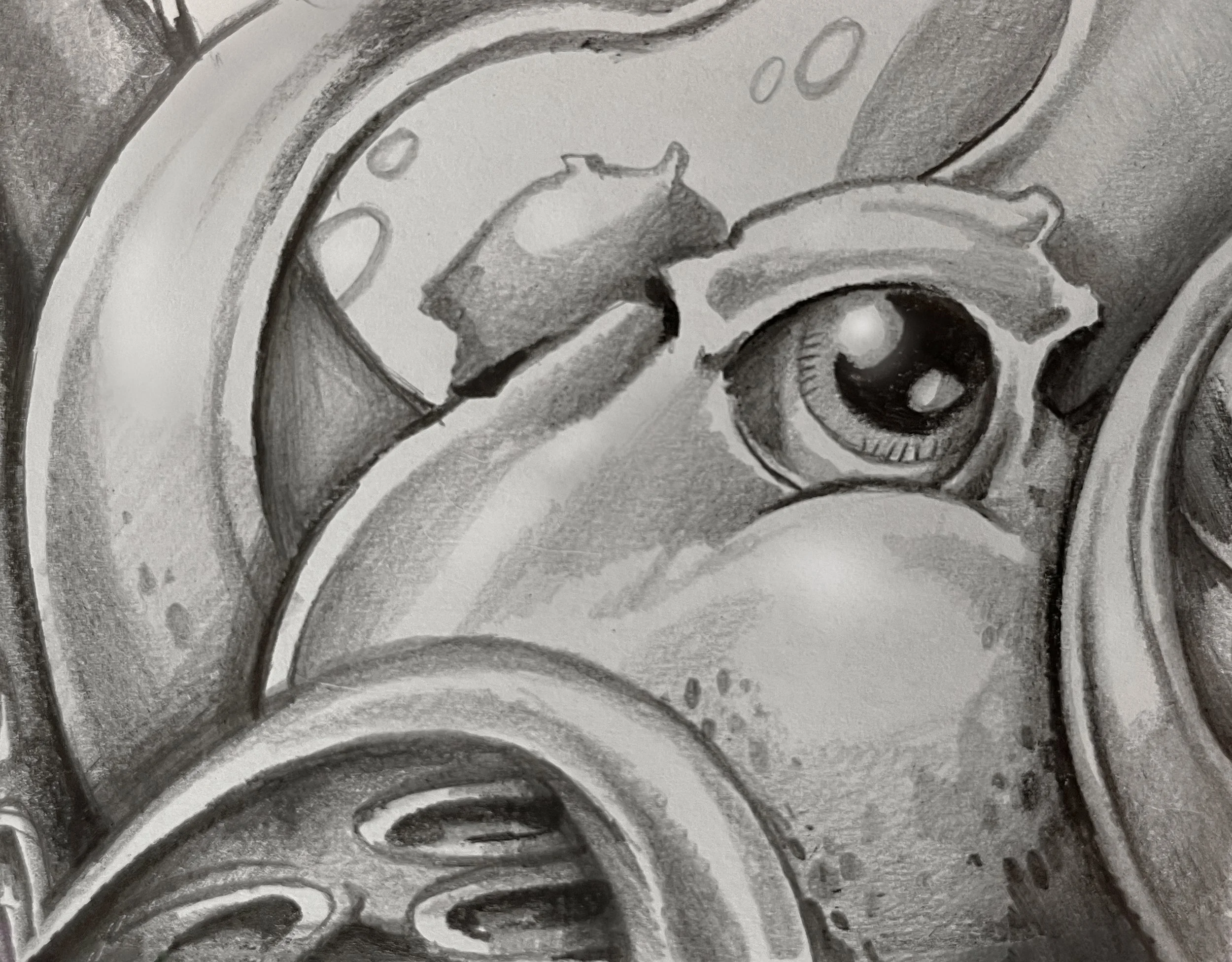 Illustrations