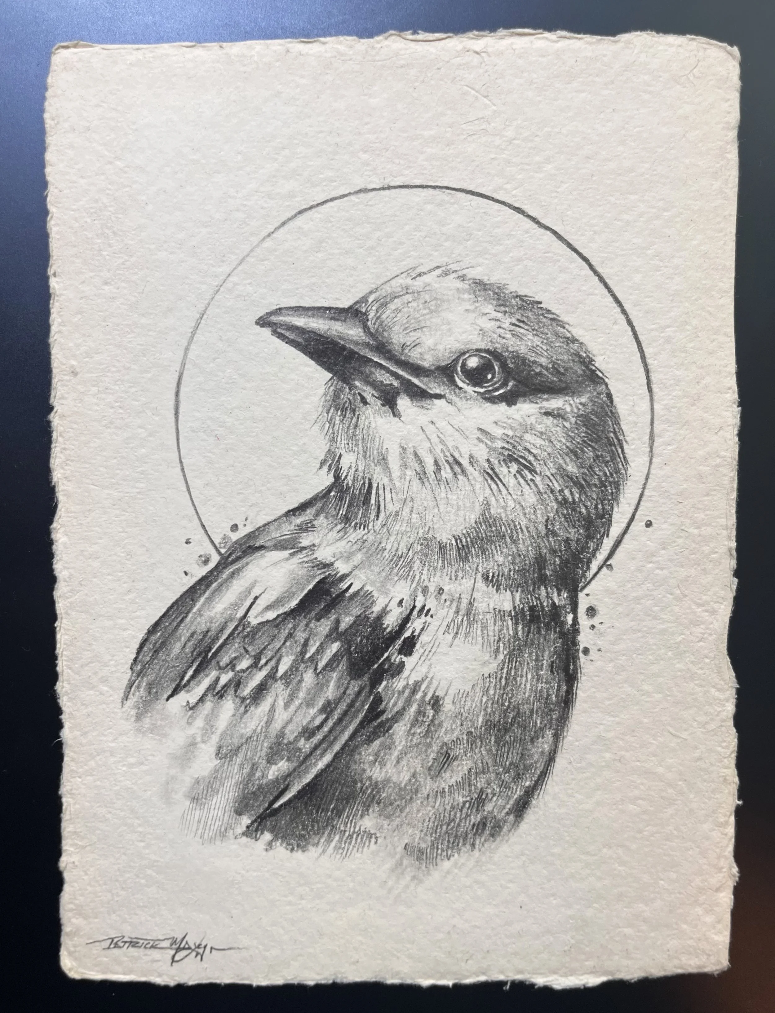 Bird drawing