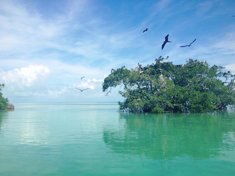 Tulum, 2012