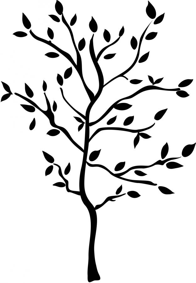 tree.jpg