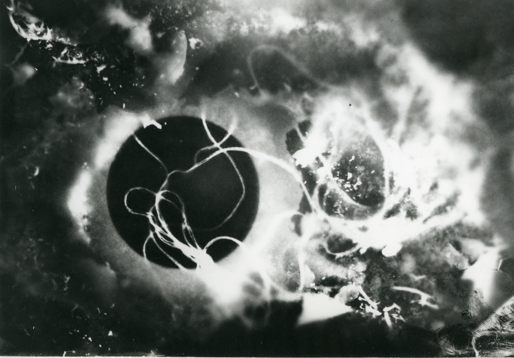 Stefan Themerson, photogram, 1929/30
