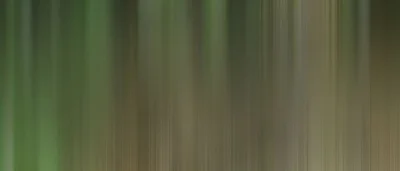 Future Bodies (Decellularisation) Workshop | Saturday 21 June 2014, 1– 5pm