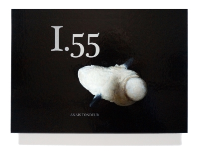 I.55 or the girl who swallowed the remnants of a forest