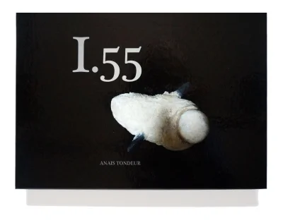 I.55 Book Launch Event | Monday 16 December 2013, 6-9pm
