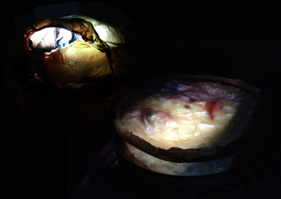 Detail from sculptural video installation Generation, by Rosalyn Driscoll and Tereza Stehlíková, 2012