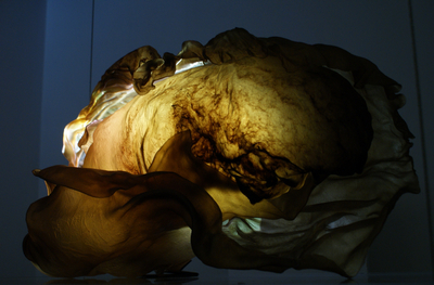 Stehlikova & Driscoll, Threshold (detail, 1) 2012