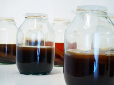 Hestia Peppe, Kombucha, 2013