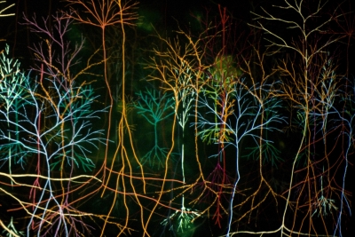 Andrew Carnie, detail from Magic Forest installation, 2002