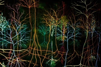 GV Art & Mind Symposium | 12 March 2013