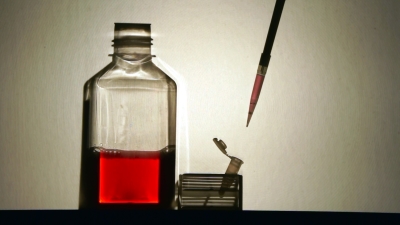 Jenny Pedley, a is for ageing, (Detail), 2010