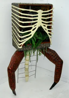 thoracicpark-david-marron.jpg