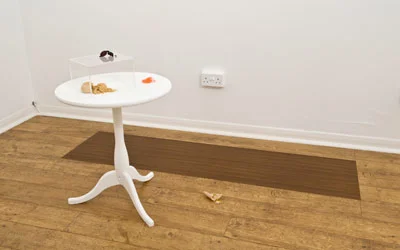 inside-out-047.jpg