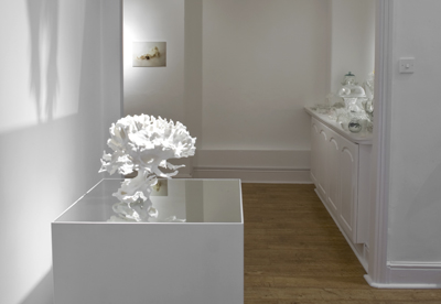 GV-experiments-04-copy.jpg
