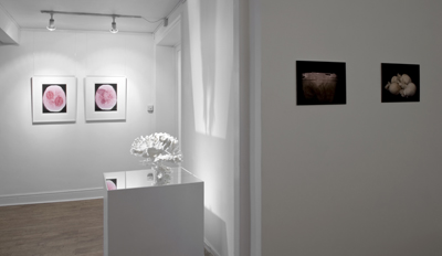 GV-experiments-03-copy.jpg