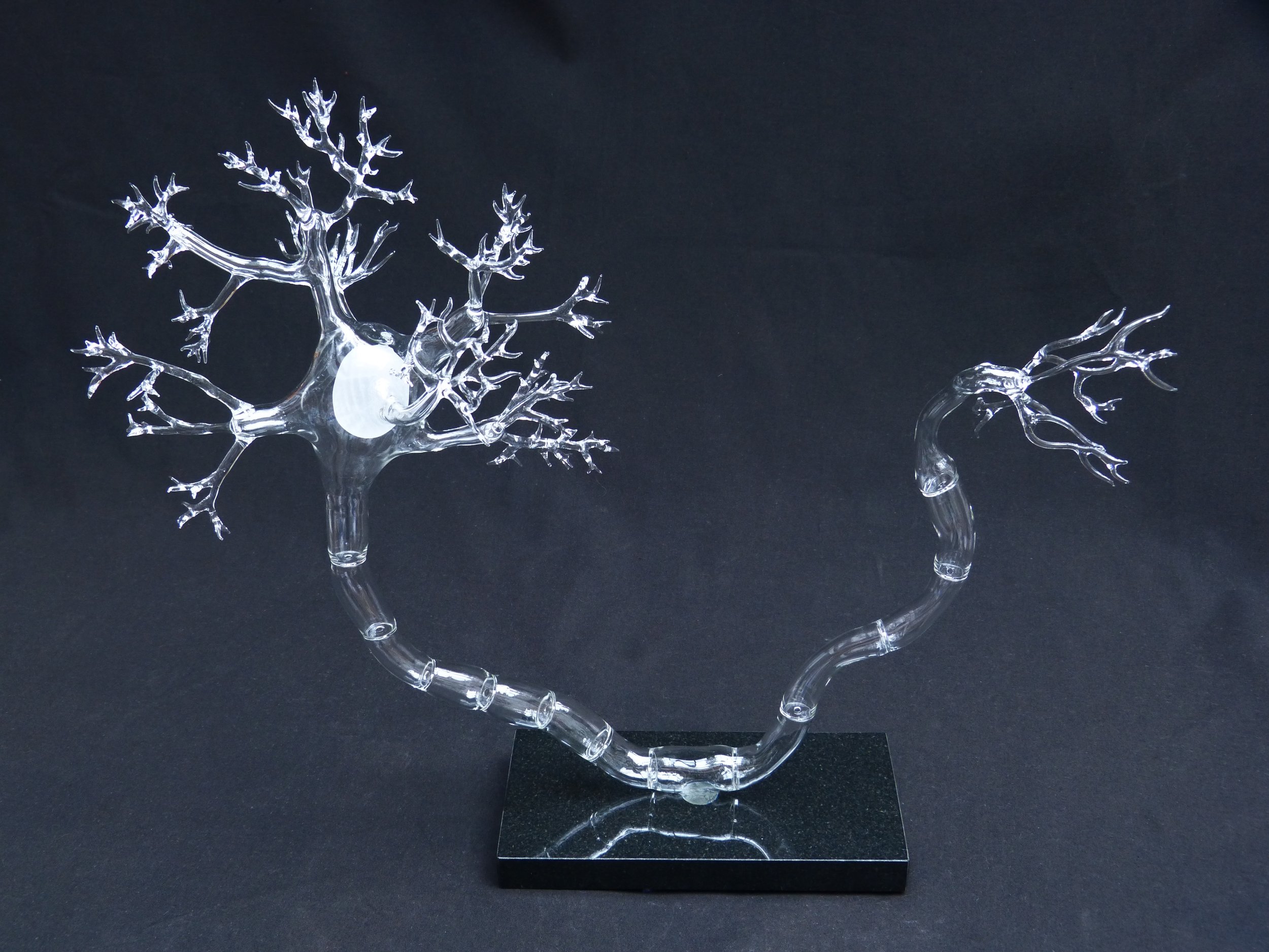 Katharine Dowson Synapse 2013 