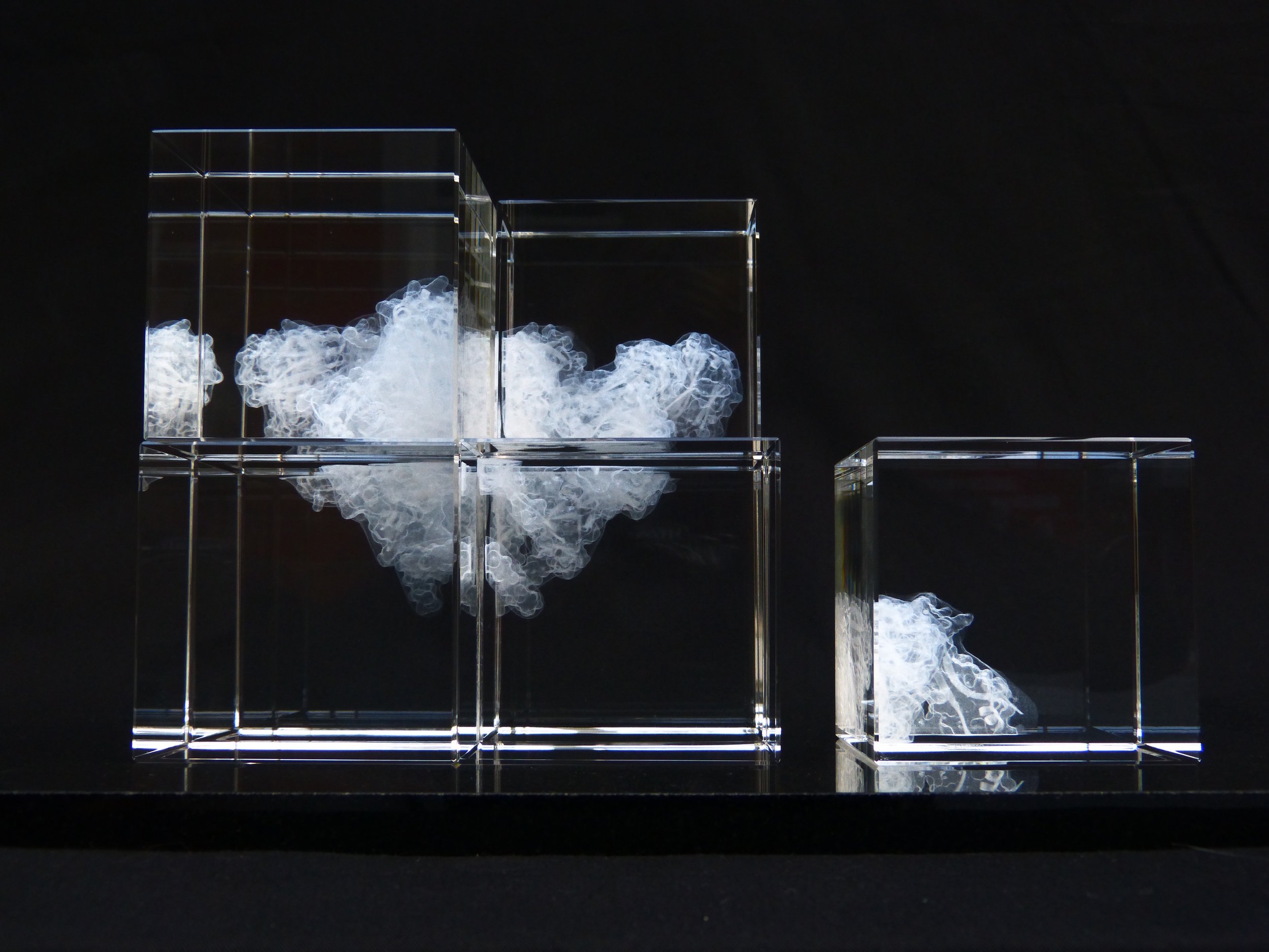 Katharine Dowson A Window to the Future of an HIV Virus 2014 Bill Gates Foundation Commission