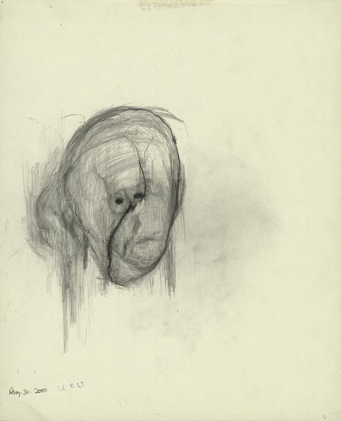 8 William Utermohlen, Head I, Pencil on Paper, 2000.jpg