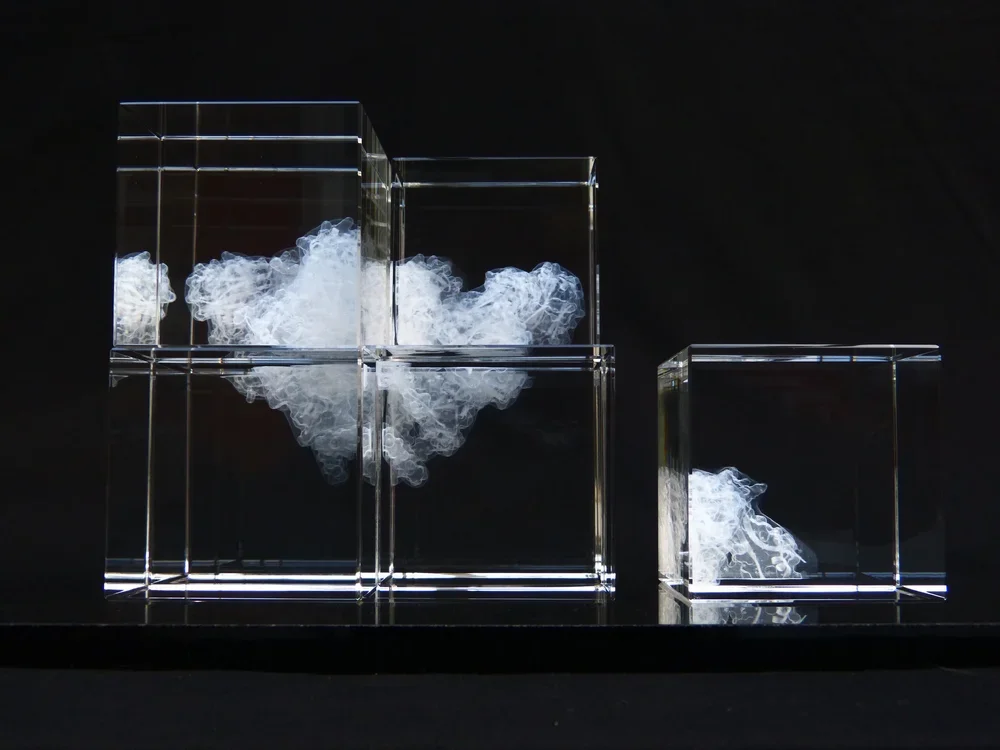 A+Window+to+the+Future+of+an+HIV+Virus++2014+Photo+K.Dowson.webp