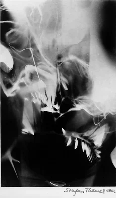 1+photogram,+1928-29.webp