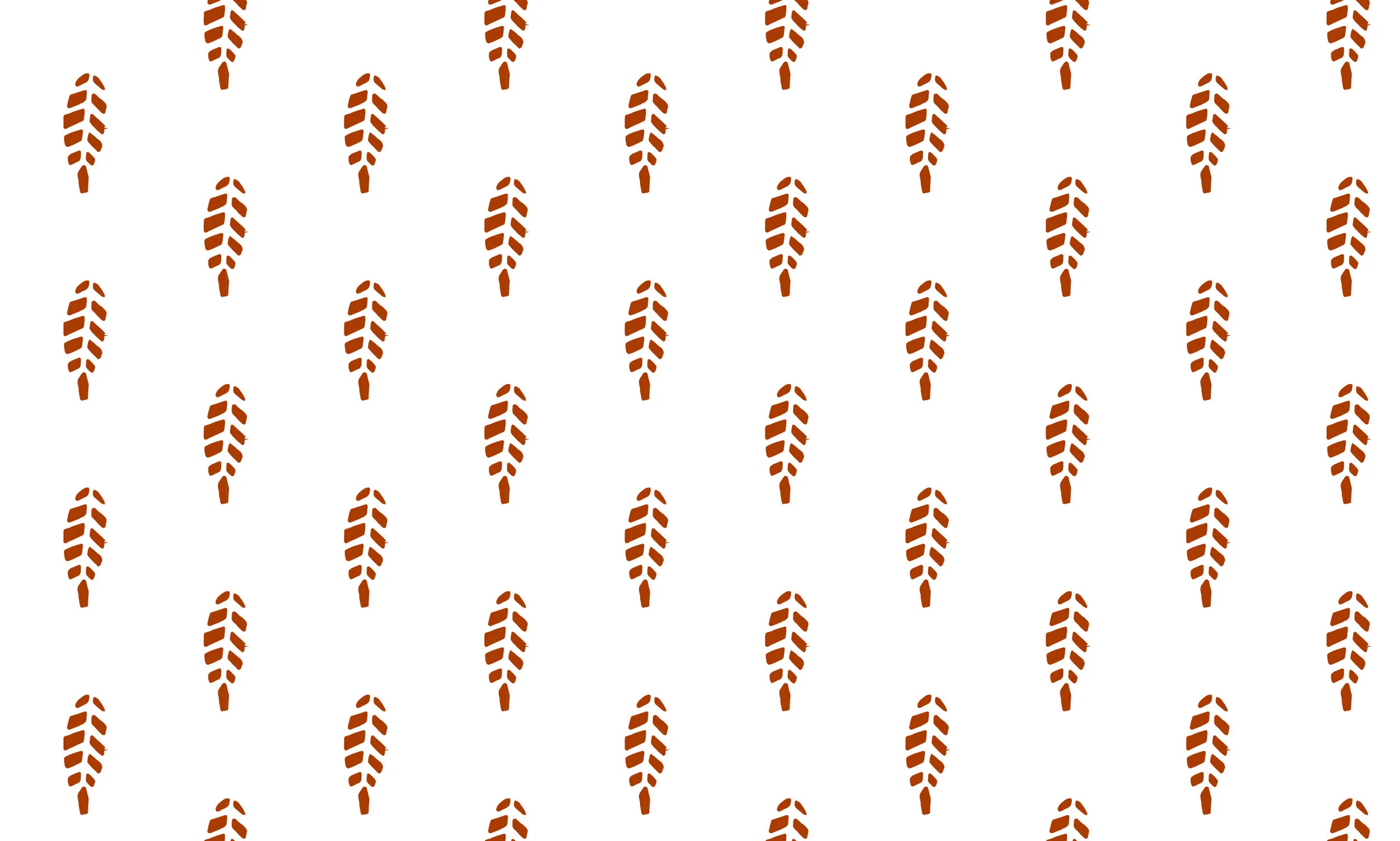 pattern-banner-02-01.jpg